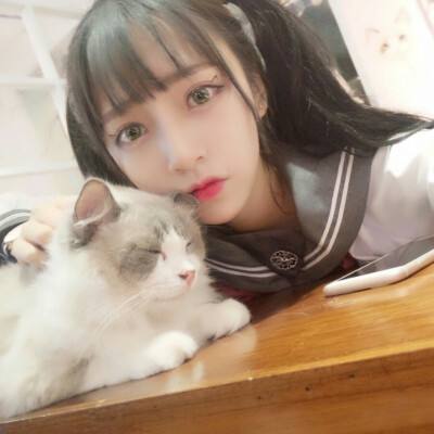 混乱的鸟破解版下载